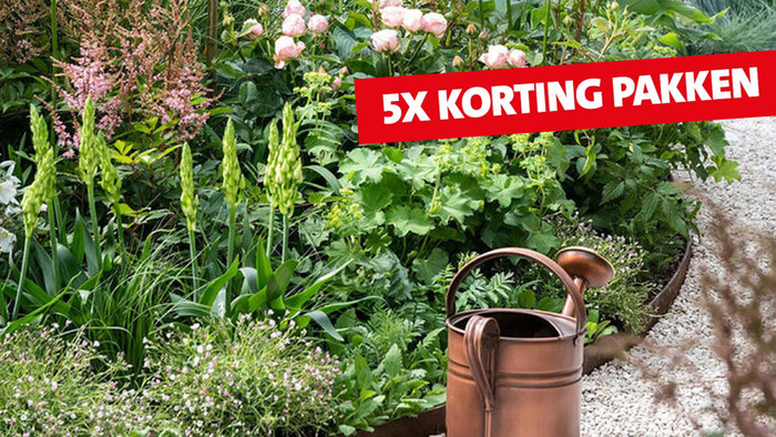 Korting pakken: met kortingen tot wel 30%