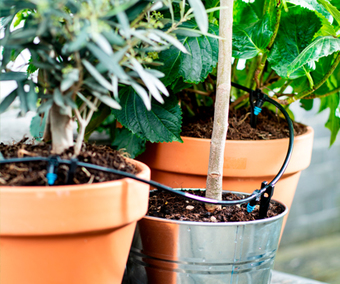 Vakantie-plantentip: Ga voor een druppelsysteem en zorg ervoor dat ook jouw tuinplanten jouw vakantie goed doorkomen!