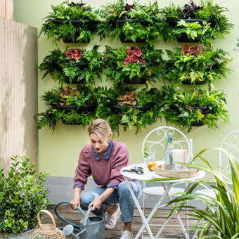 Verticale tuin, ideaal voor een dakterras of balkon