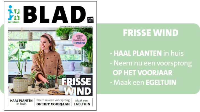 Een frisse wind door het huis en lekker buiten aan de slag!