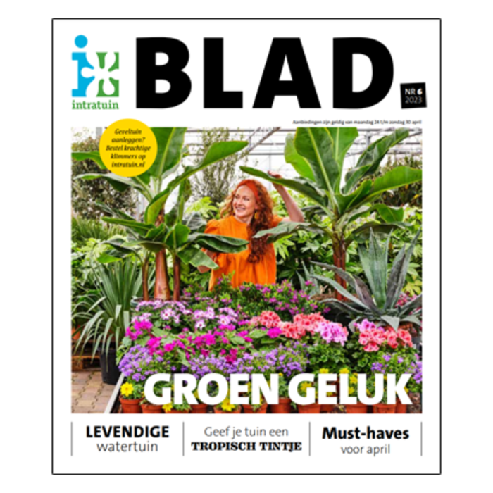 Bekijk het Magazine Blad! 