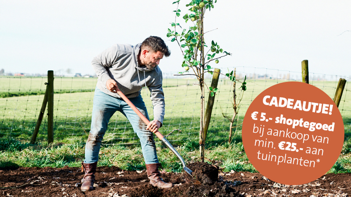 Ontvang € 5.- shoptegeoed vanaf € 25.- aan tuinplanten