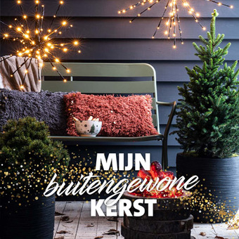 Mijn buitengewone kerst