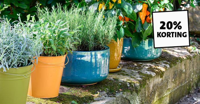 Shop bloempotten voor buiten met 20% korting