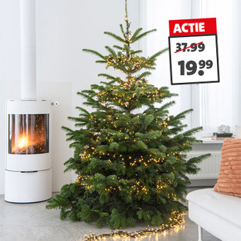 Clusterverlichting. Warmwit of classic white, 768 lampjes, lengte 4,5 meter, zwart aanloopsnoer van 4 meter. Van 37.99 voor 19.99