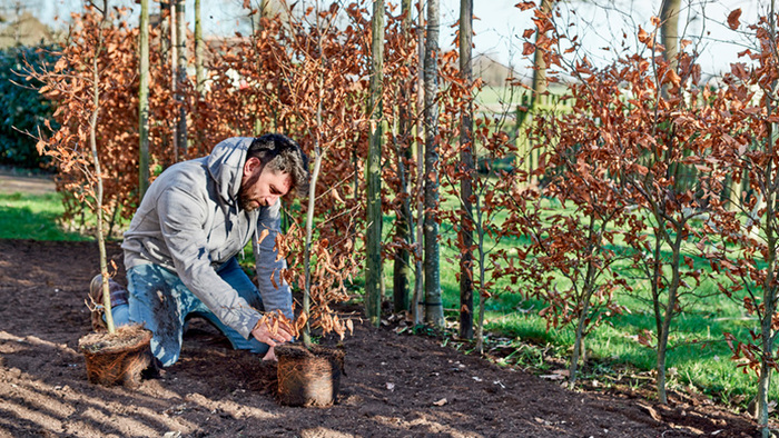 Zeven tips voor de najaarsaanplant