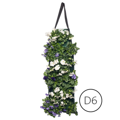 Wandhanger met violen nu 12.99