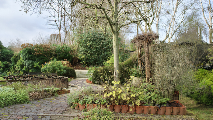 Ontdek de werkzaamheden van februari in onze tuinkalender