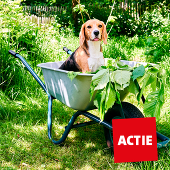 Bekijk alle aanbiedingen voor honden