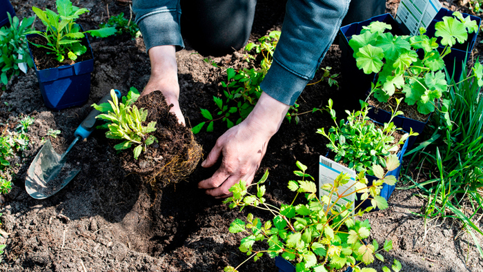 Aan de slag in je tuin