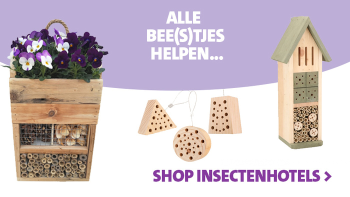 In de aanbieding: insectenhuizen-en-insectenhotels