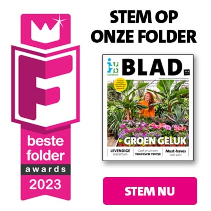 Stem op Intratuin tijdens de beste Folder Awards