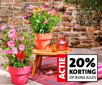 20% korting op alle tuinplanten