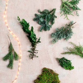 DIY je eigen groene kerststukjes maken