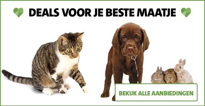 De beste deals voor jouw beste maatje