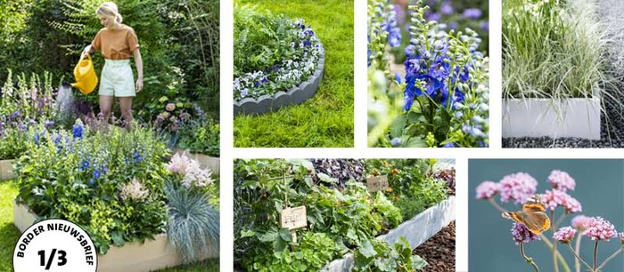 5 stappenplan voor de perfecte border