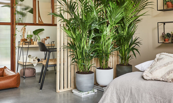 Planten op iedere plek in huis