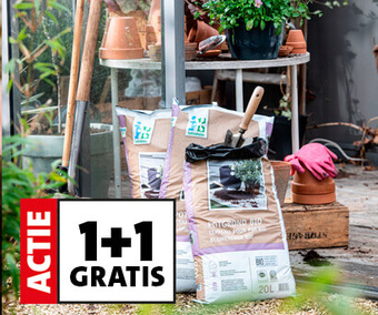 Potgrond & aanplantgrond: 1+1 gratis