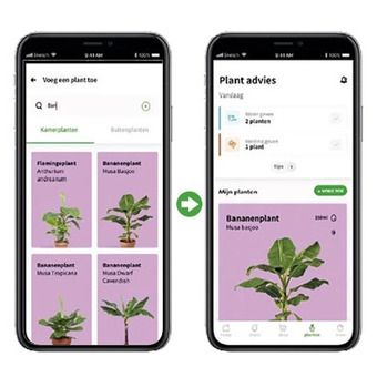 Plantenverzorging in de Intratuin App