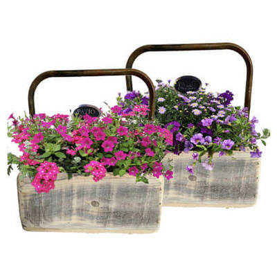 Arrangement zomerbloeiers 17.99 voor 12.99