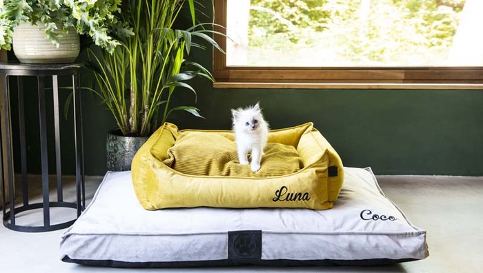 Win een gepersonaliseerde honden- en kattenkussen