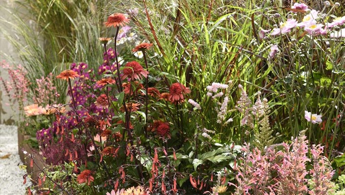 Je to-do lijst voor de herfsttuin!