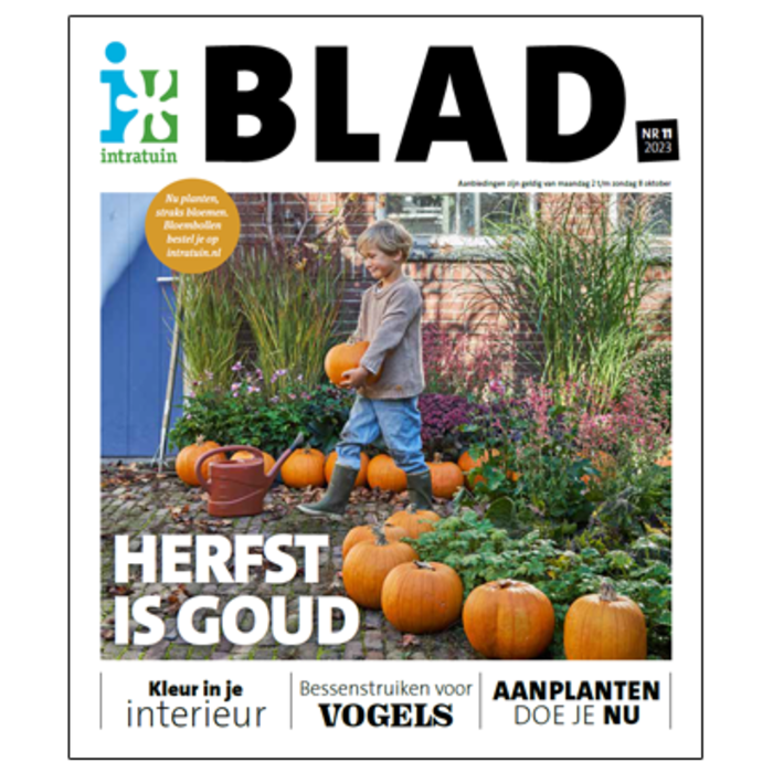 Alle tips & aanbiedingen vind je in ons magazine!