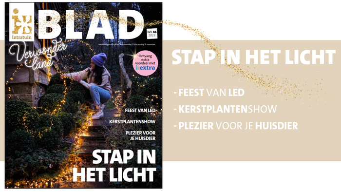 Ons nieuwe magazine is uit!