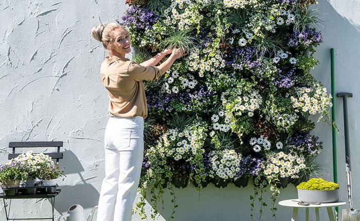 Plantentuin voor meer biodiversiteit