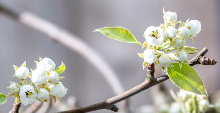 Tuinkalender februari