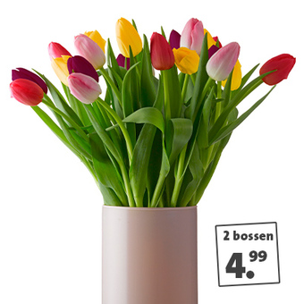 Tulpen 2 bossen voor 4.99 