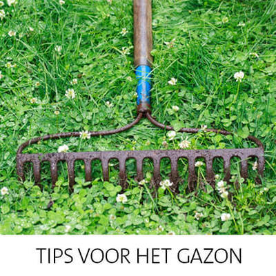 Tips voor het gazon