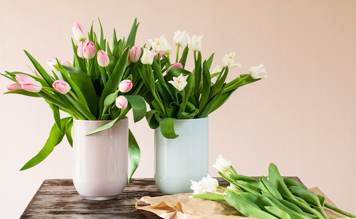 Tulpenfeest