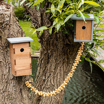 Controleer alle nestkastjes