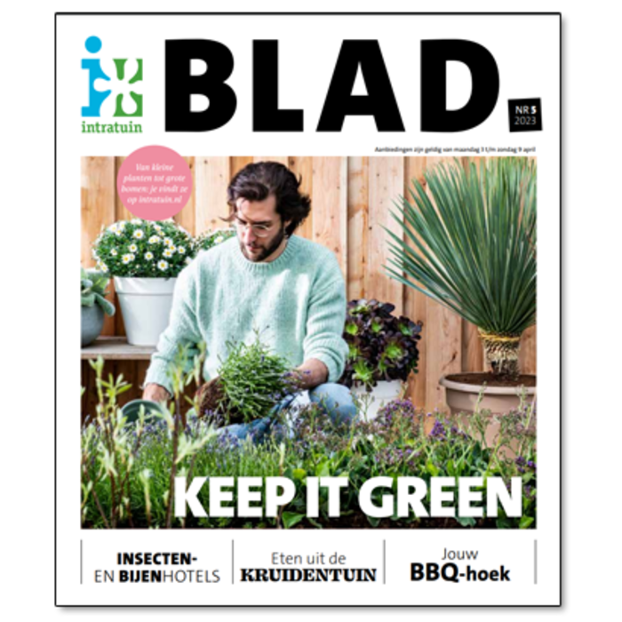 Er is weer een nieuw Blad uit. Lees hem nu!