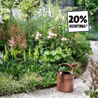 20% korting op alle tuinplanten