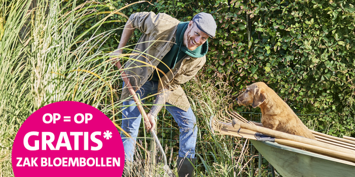 Gratis zak bloembollen bij aankoop van vanaf €20.- aan tuinp;anten