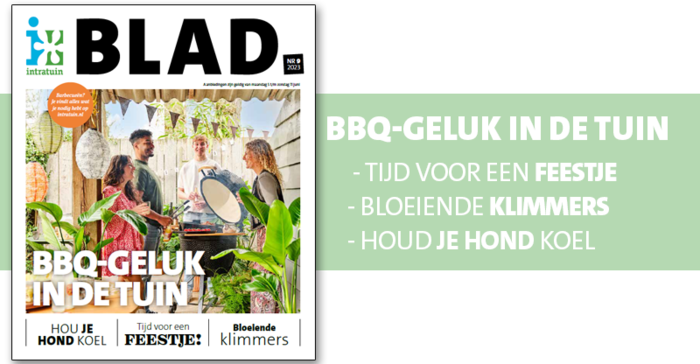 Lees ons magazine Blad