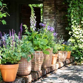 Alle bloempotten en plantenbakken