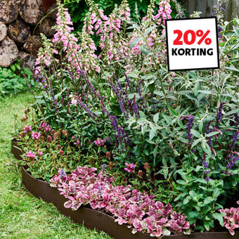 Tuinplanten: 20% korting