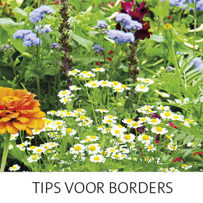 To do juni: borders