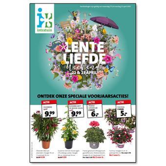 Deze week in de actie: veel verschillende kleurrijke planten