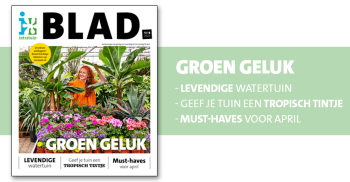 Bekijk het Magazine Blad! 