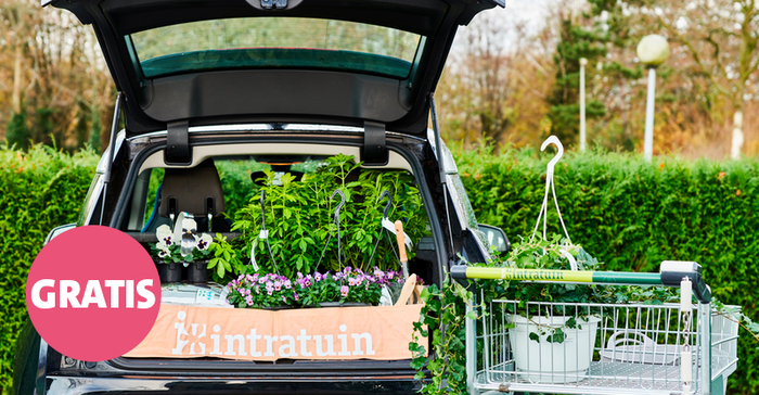 Gratis kofferbakzak bij besteding aan 20.- aan tuinplanten