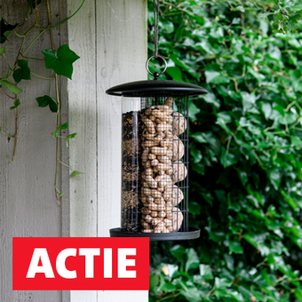 Help vogels de winter door