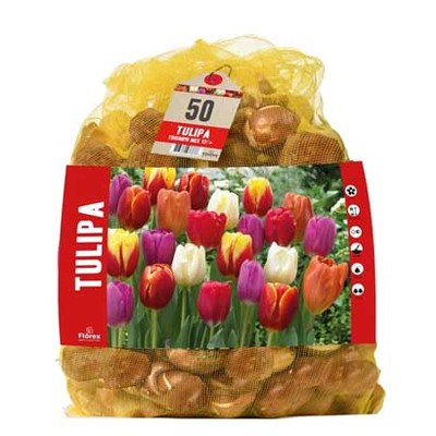 Florex bloembollen Tulp. Nu voor 7.99