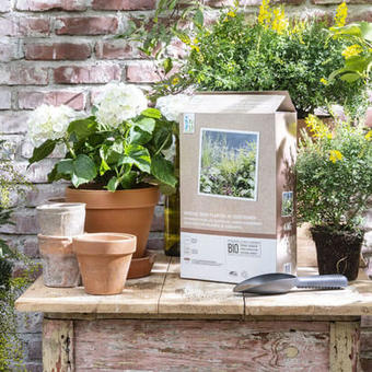 Plantenvoeding voor tuinplanten