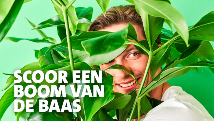 GRATIS GROEN BIJ JE NIEUWE GROENE BAAN