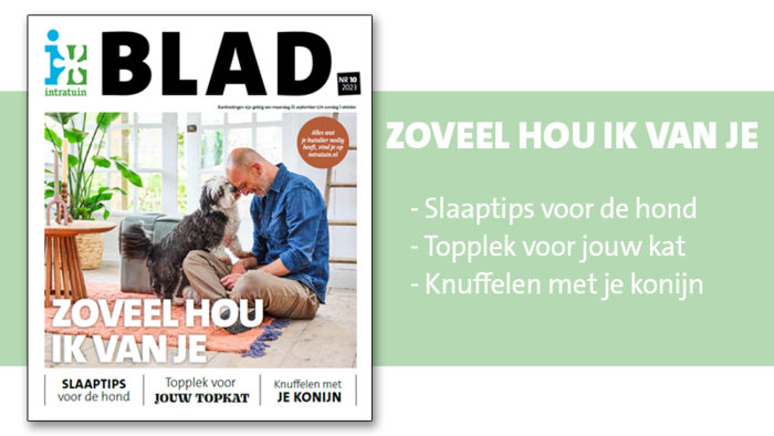 Liefde voor je huisdier, je leest er alles over in ons magazine