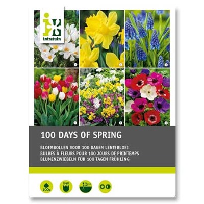 Bloembollen 100 dagen lente, nu voor 7.99